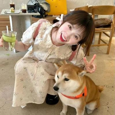 春泛女黉宫海报