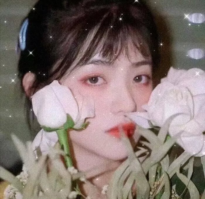 同学麦娜丝海报