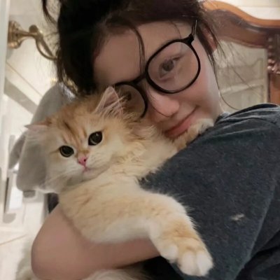 戴帽子的猫海报